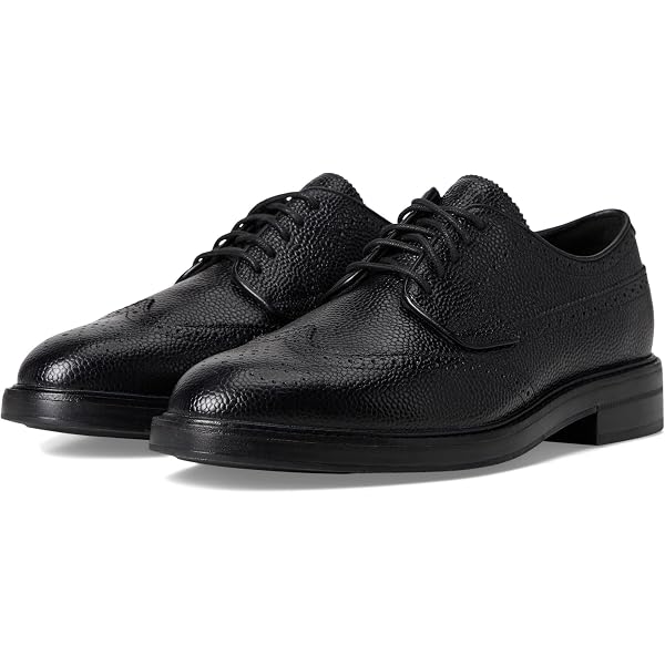 Amazon.com | Cole Haan American Classics Long Wing Loafers  display picture 1