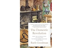 The Domestic Revolution: How the Introduction of Coal into Victorian Homes Changed Everything