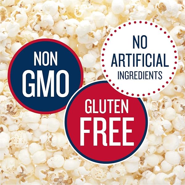 SKINNYPOP POPCORN, ORIGINAL, WHOLE GRAIN, DAIRY-FREE SNACK, 4.4OZ BAGS (12CT)