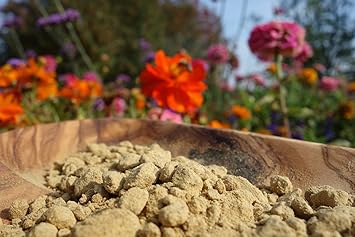 Naturherz® Propolis Pulver Premium 100g