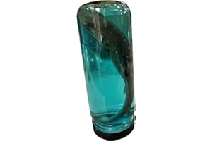 NAUTICAL BEACH DECOR Real 7 Inch Shark in a Bottle Jar, Marine Specimen Taxidermy, Fishing, Jaws - Made in USA