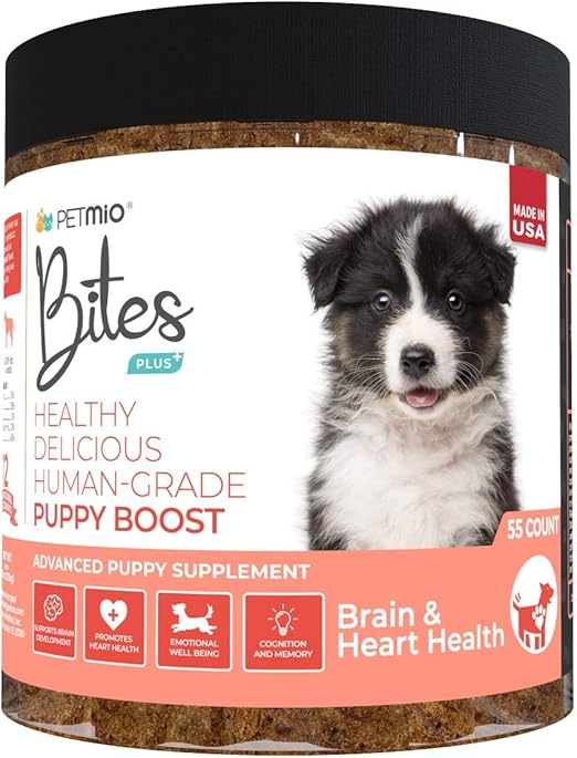 a husky and a german shepherd