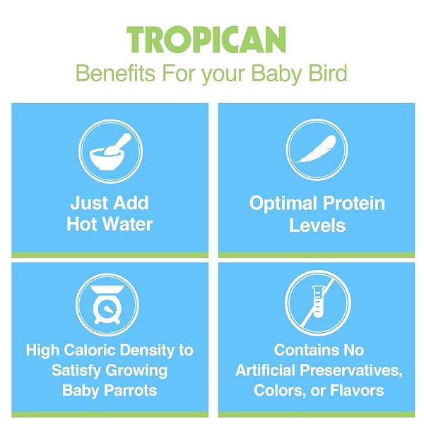HAGEN TROPICAN HAND FEEDING PARROT FOOD, 4.4 LB. – HARI BABY BIRD FOOD FOR OPTIMAL GROWTH