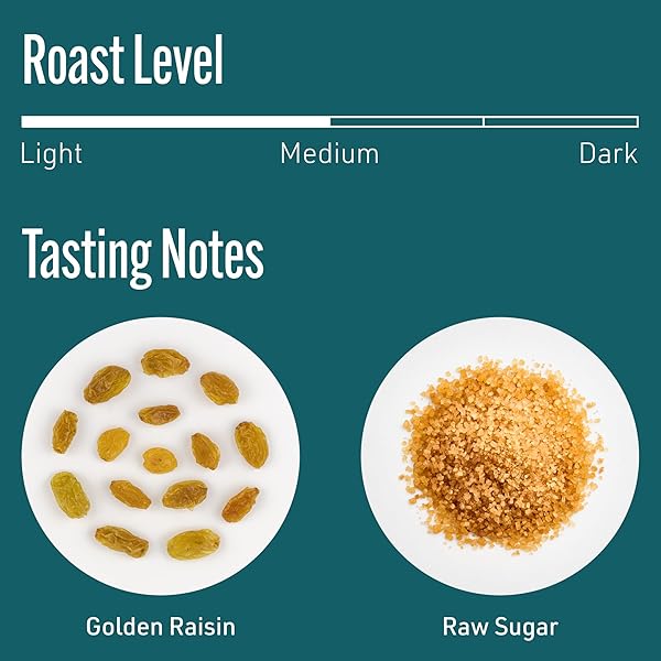 INTELLIGENTSIA COFFEE, MEDIUM ROAST WHOLE BEAN COFFEE – FREQUENCY BLEND 12 OUNCE BAG