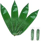 60 Pcs Fresh Vacuum Banana Leaves for Cooking, Bamboo Leaves for Zongzi Leaf Sushi Plate Wrap Foods for DIY Rice Cake (2 Pack-30Pcs)