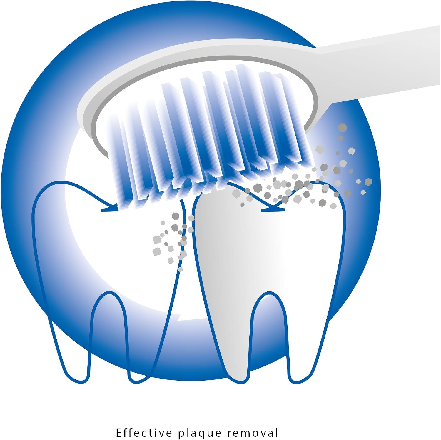 Profi Care BROSSE Ö DENT Ultrason ÇLECTRIQUE PC-EZS 3000, White - Image 5
