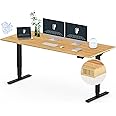 FLEXISPOT E6 Essential Bamboo 3 Stages Dual Motor 72x30 Inch Electric Height Adjustable Standing Desk Whole-Piece Board Desk Sit Stand Up Desk (Black Frame + Bamboo Desktop)