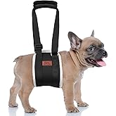 Adjustable Dog Lift Harness, Dog Sling for Large Dogs Lift Support and Rehab Harness for Weak Rear Legs, Soft Hind Leg Support Helps Senior, Injured, Disabled and After ACL Surgery Dogs(Black,Small)