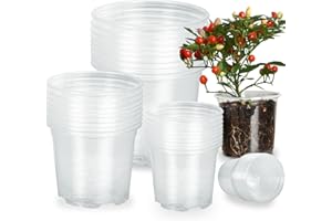 DUNPUTE Clear Nursery Pots Variety Pack 3 4 5 6 Inch, 36 Pack Seedling Pots with Drainage Holes, Seed Starting Pots Assorted Sizes for Flower, Succulent, Herb (3 4 5 6 Inch)
