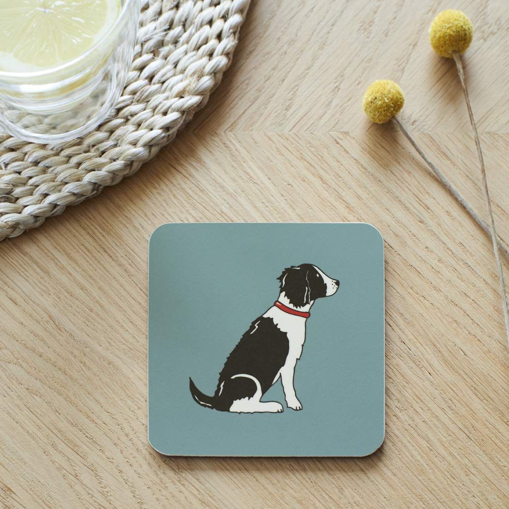 Sweet William Springer Spaniel Black and White Coaster