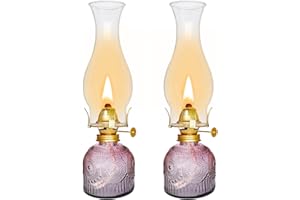 SYOENK 2 Pieces Large Chamber Oil Lamps, Glass Clear Color Kerosene Lamps for Indoor Use Home Decorative Hurricane Lamp Oil Lantern 11" Vintage Oil Lamp for Tabletop Decor Lighting