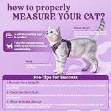 rabbitgoo Cat Harness and Lead Set XS Purple Reflective Escape Proof view 2