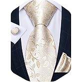 DiBanGu Mens Paisley Tie Sets Silk Jacquard Woven Floral Necktie and Pocket Square Cufflinks Wedding Business Party