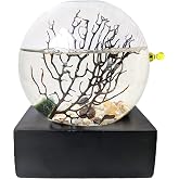 Glass Self Sustaining Shrimp Ecosphere with Black Base Christmas Edition (Large)