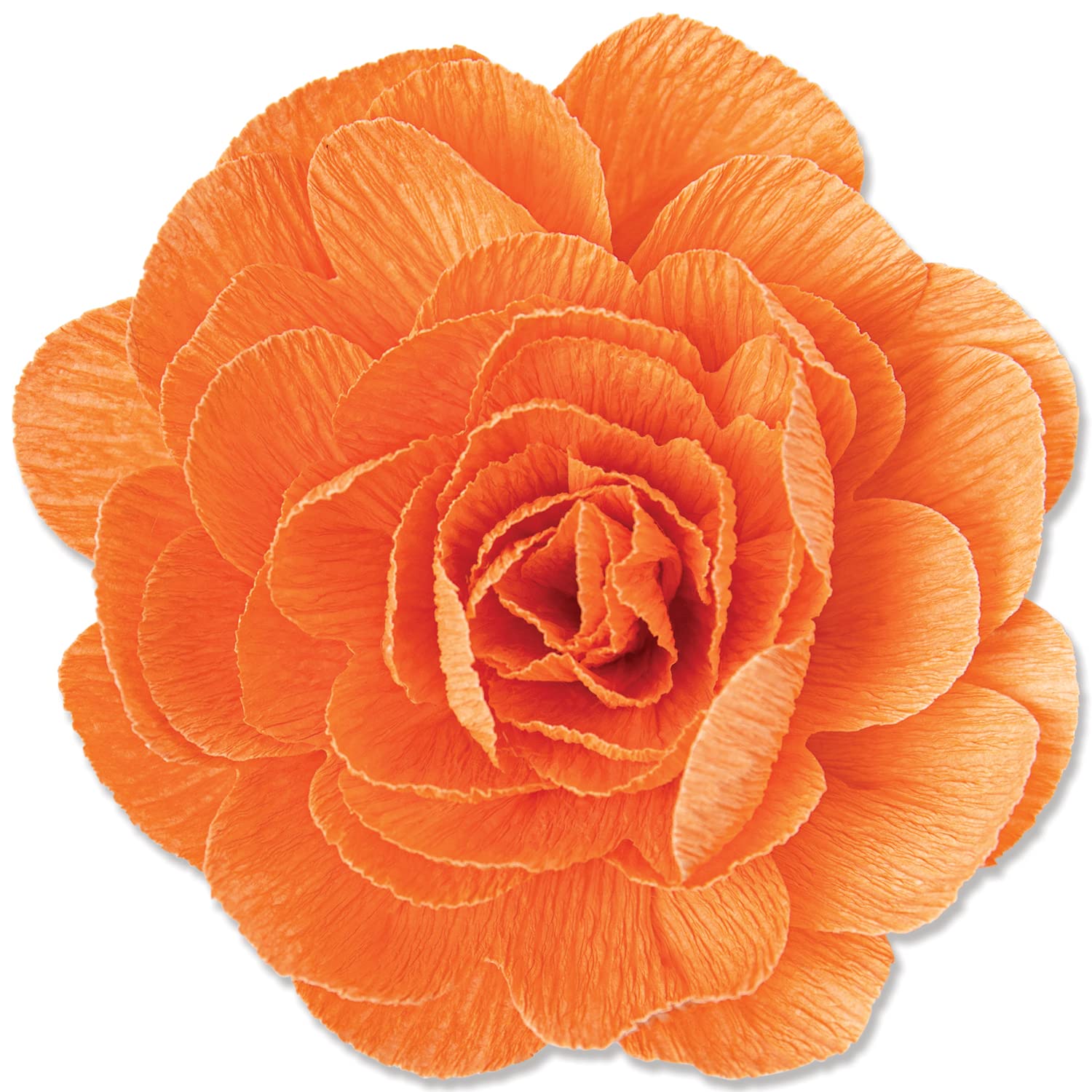 Sizzix Thinlits Die Set 3PK Pom Flower by Olivia Rose, One Size