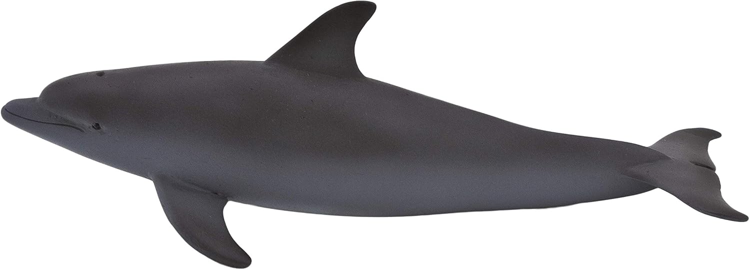 MOJO - Bottlenose Dolphin, Colour, único