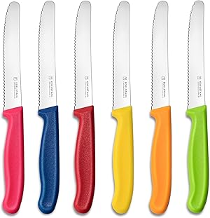 targzier Frühstücksmesser 6 Stück, Kunststoffgriff Brötchenmesser,Edelstahl Tomatenmesser Set,Tafelmesser Wellenschliff,Messerset zum Schneiden,Scharfe Messer für Brotzeit(Bunte),Spülmaschinenfest