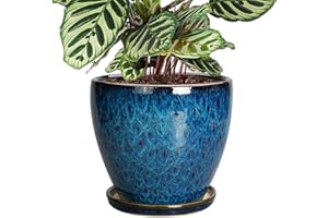 EPFamily 8 Inch Ceramic Planter Pot with Drainage Hole and Saucer, Ceraimc Plant Pot Round Flower Pot for Indoor Plants Outdoor Garden Planter, Blue