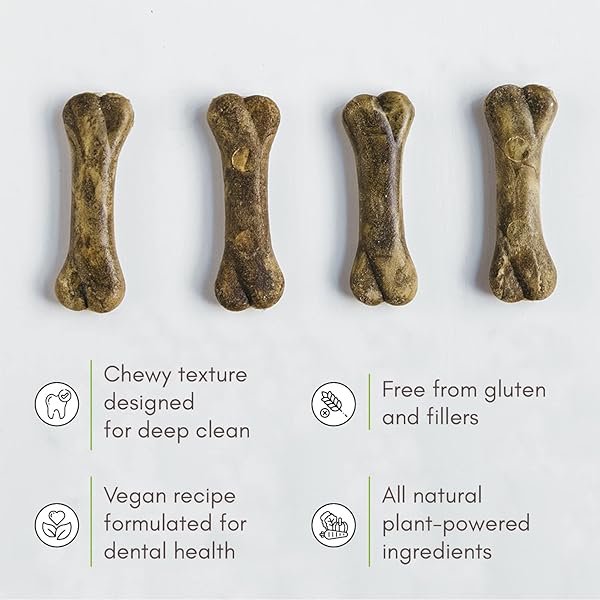 V-DOG DOG TREATS – VEGAN BREATHBONE TEETH CLEANING DENTAL DOG BONES – FRESH BREATH – 8 OUNCES – ALL NATURAL – MADE IN USA – 6 BONES – 4″ LONG – EASY TO DIGEST