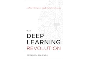 The Deep Learning Revolution