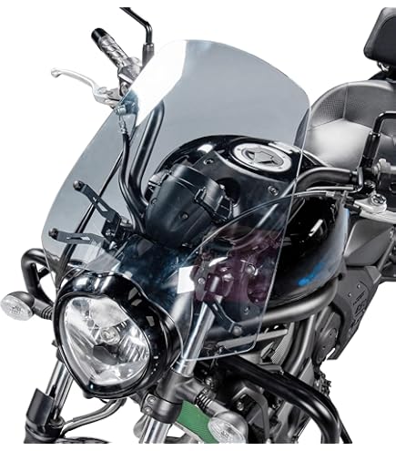 Amazon.com: Puig 7514N New Generation Touring WindShield