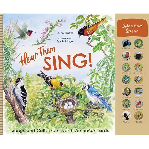 Amazon.com: Tune In 1 Student Book with Student CD: Learning
