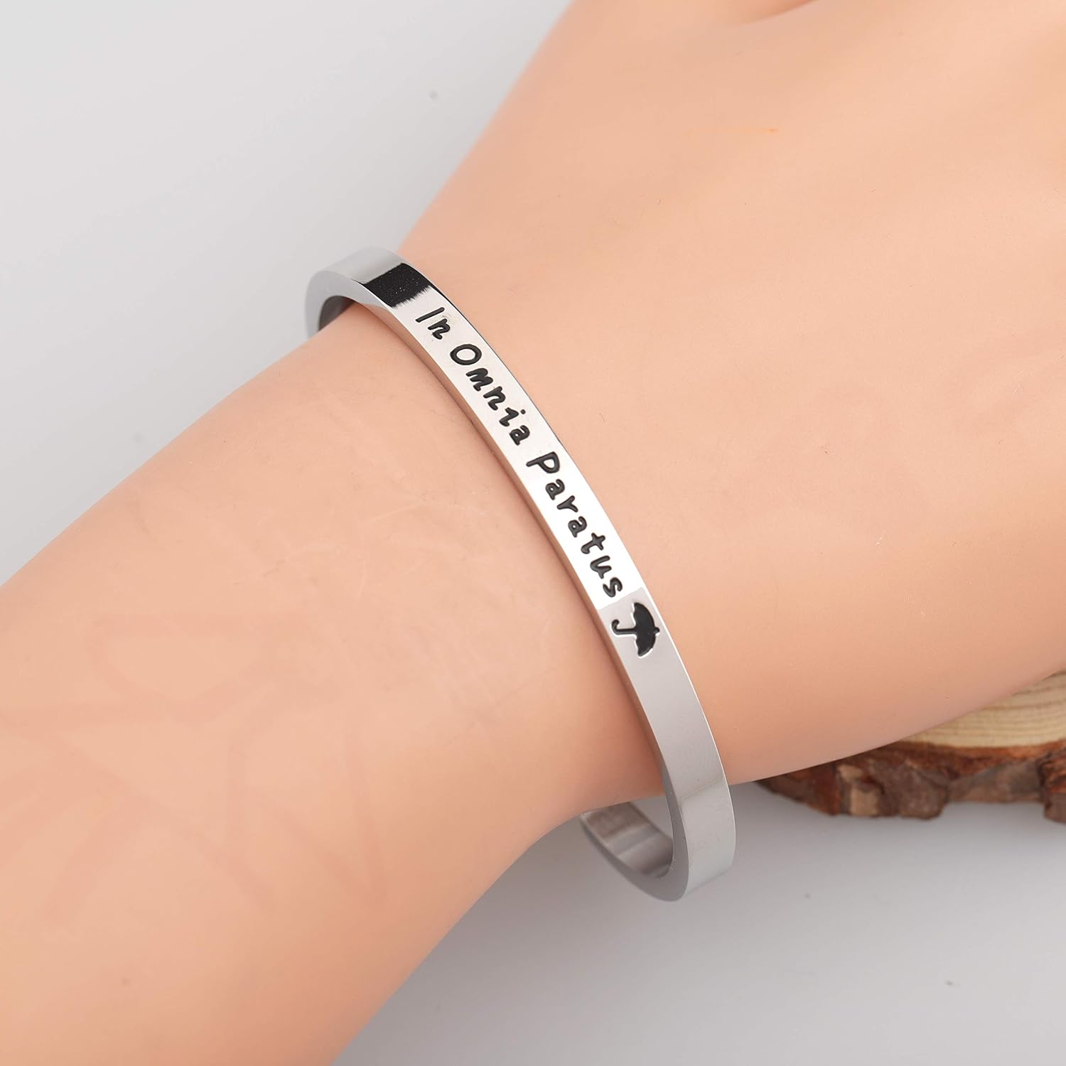 What Does In Omnia Paratus Mean In Latin