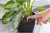 Miracle-Gro Indoor Plant Food Spike 1.1 Ounce Urea Nitrogen Fertilizer view 9