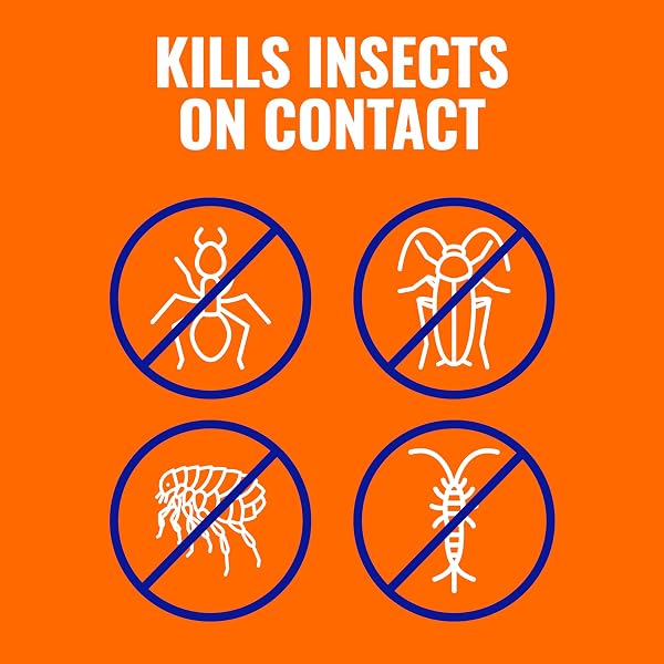 TERRO ANT KILLER PLUS MULTI-PURPOSE INSECT CONTROL FOR OUTDOORS – KILLS FIRE ANTS, FLEAS, COCKROACHES, AND OTHER CRAWLING INSECTS – 3LB SHAKER BAG – T901-6