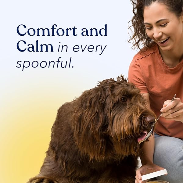 HONEST PAWS CALMING PEANUT BUTTER FOR DOGS – DOG SUPPLEMENT WITH ASHWAGANDHA, VALERIAN ROOT & L-TRYPTOPHAN – SUPPORTS RELAXATION & BALANCED BEHAVIOR – MADE IN USA – 12 OZ