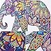 HuaCan Diamond Painting Kits for Adults DIY 5D Special Shape Partial Drill Crystal Rhinestone Embroidery Pictures Arts Craft for Home Wall Decor Elephant A 26x34cm
