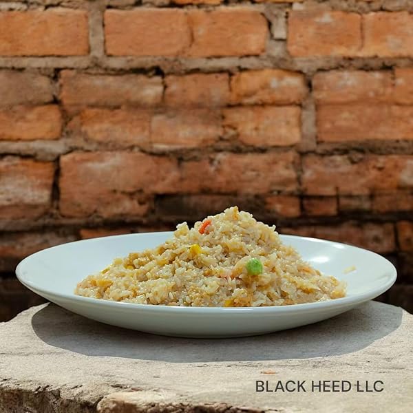 10 YEAR SHELF LIFE！BH-500 EMERGENCY FOOD/SURVIVAL FOOD/MRE/CAMPING & HIKING FOOD (VEGAN FRIED RICE)