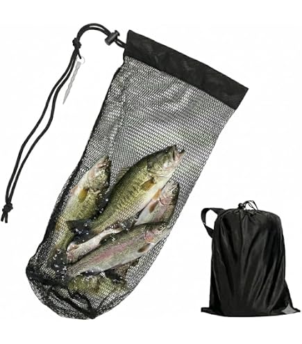Amazon.com : 1Pcs Fishing Bag Collapsible Fish Collection Bag Portable  Nylon Fishing Net Drawstring Fishing Lure Holder Diving Catching Netting  Fish, Black : Sports & Outdoors