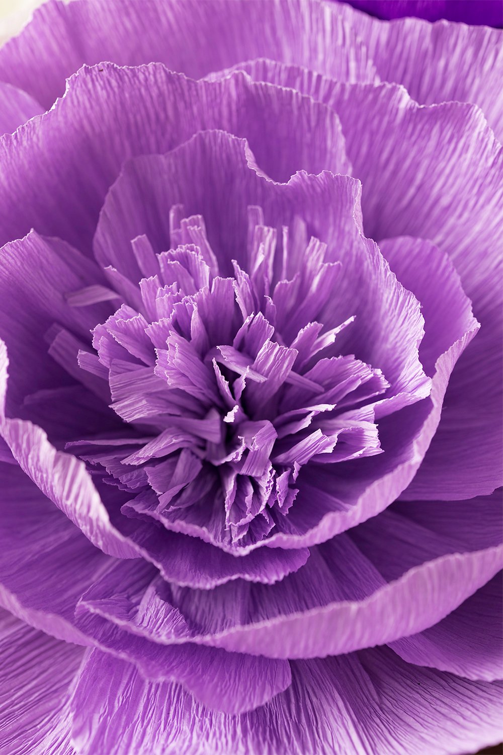 ペーパーフラワー装飾 手作り花 大きな紙の花 パープル ベージュ ラベンダー 8のセット クレープ紙花ウェディング背景 保育園装飾 アーチ部分装飾 ベビーシャワー B078lyyczv