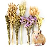 Sukh Nature Flower Herb Hamster Bedding Cage