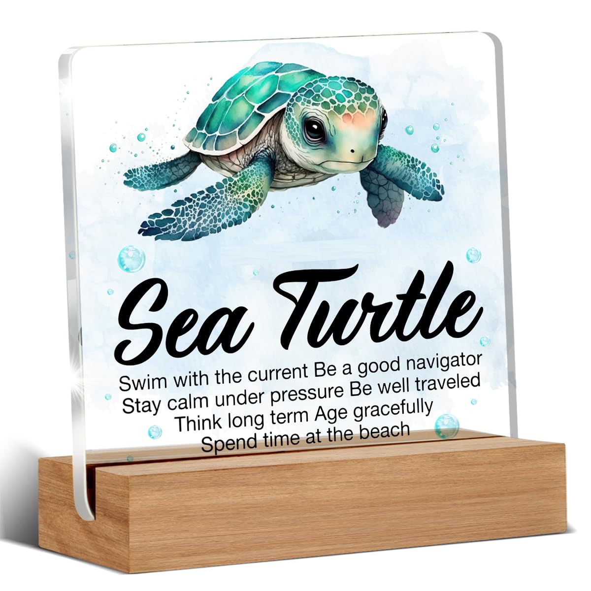 Inspirational Motivational Gifts - Turtle Gifts for Women Men - Sea Turtle Clear Desk Decorative Sign Home Decor