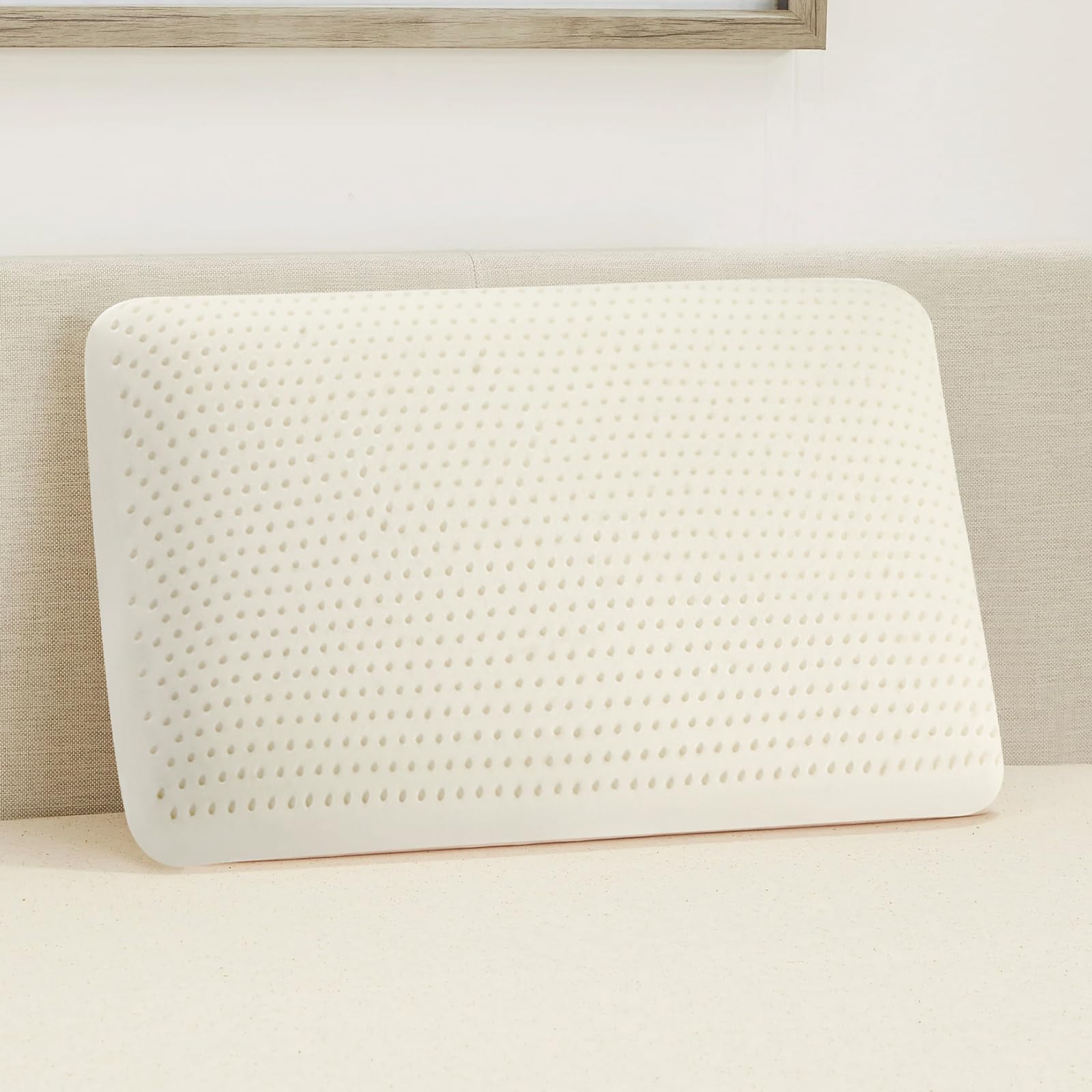 Photo 1 of Talalay 100% Natural Premium Latex Pillow,Bed Pillow for Sleeping with Removable Cotton Cover, Helps Relieve Pressure, Breathable, Pressure Relief, Durable, Best Gift (Queen Size)