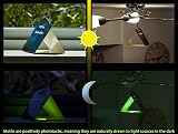 MothOut 10 Pheromone Clothes Moth Traps with Lavender Freshener Glow Pads view 5