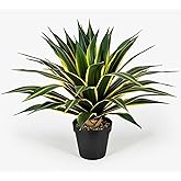 SUNPRAIRIE 34 Inch Tall Large Artificial Agave Plant in Pot with 45 Leaves, Forest Green with Yellow-Edges. Outdoor and Indoor Faux Plants.