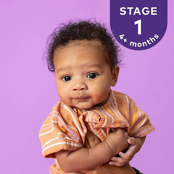PLUM ORGANICS STAGE 1 ORGANIC BABY FOOD, PRUNE PUREE, 3.5 OUNCE POUCH (PACK OF 12)