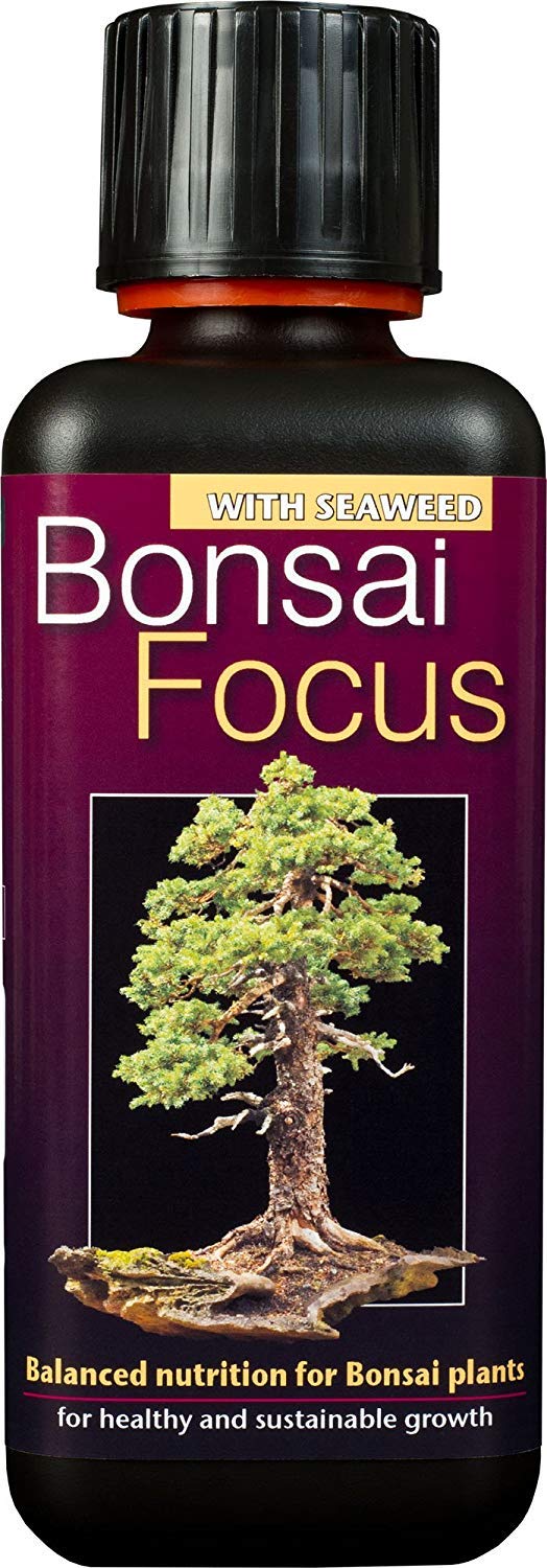 2 x Bonsai Focus Liquid Concentrated Fertiliser 300ml