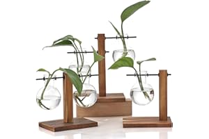 WUWEOT 3 Pack Bulb Vase, Desktop Plant Terrarium with Retro Wooden Stand, Air Planter Glass Planter for Hydroponics Plants Home Garden Office Wedding Decor (5 Bulb Vase)