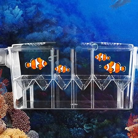 floating fish tank