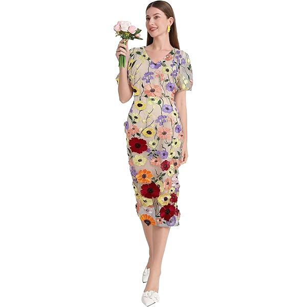 Amazon.com: 3D Floral Embroidery Dress for Women's Sheer