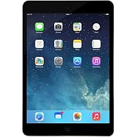 Amazon.com : Apple iPad Air 2, 16 GB, Space Gray (Renewed 
