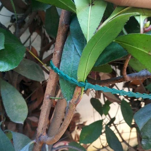 Faviye 50 unids plástico jardinería Empate Plantas Sujetadores ...
