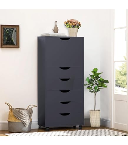 Amazon.com: Naomi Home 6 Drawer Office File Cabinet, Under Desk