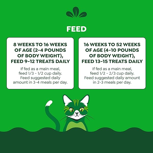 GREENIES FELINE SMARTBITES HEALTHY KITTEN TREATS FOR INDOOR KITTENS, CRUNCHY AND SOFT NATURAL CAT TREATS, CHICKEN FLAVOR, 16 OZ. TUB