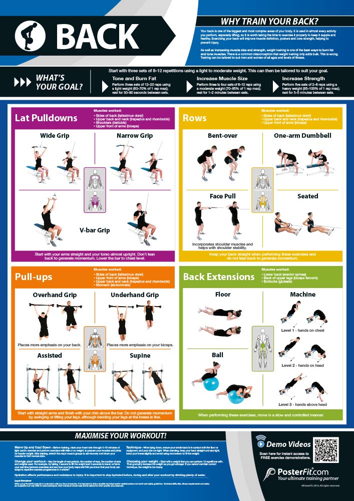PosterFit Back Exercise | Full Workout Improves Strength Training | Laminated Gym and Home Poster | Includes Online Video Training Support | Size - 594mm x 420mm (A2) | Improves Personal Fitness