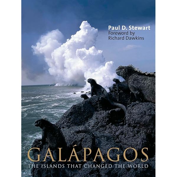 Amazon.com: Galapagos (BBC) : Various, Various: Movies & TV